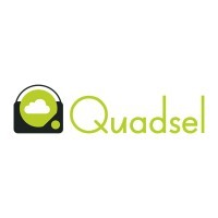 Quadsel Systems Logo